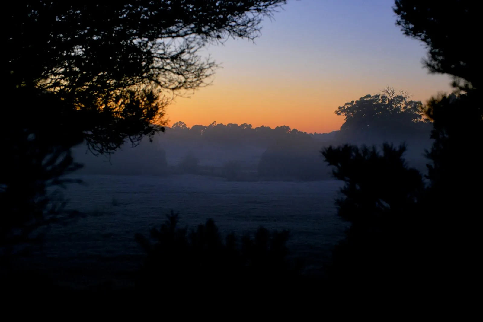 Une campagne dans la pénombre de l’aube, des prés voilés de brume sous un ciel orangé, juste avant le lever du soleil