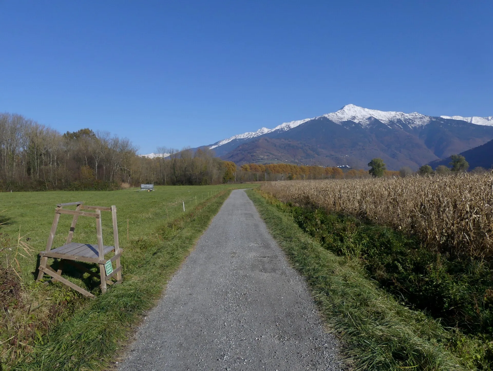 Chemin rural entre un pré et un champ de maïs, avec une chaise de tir en bois, montagnes enneigées au fond.