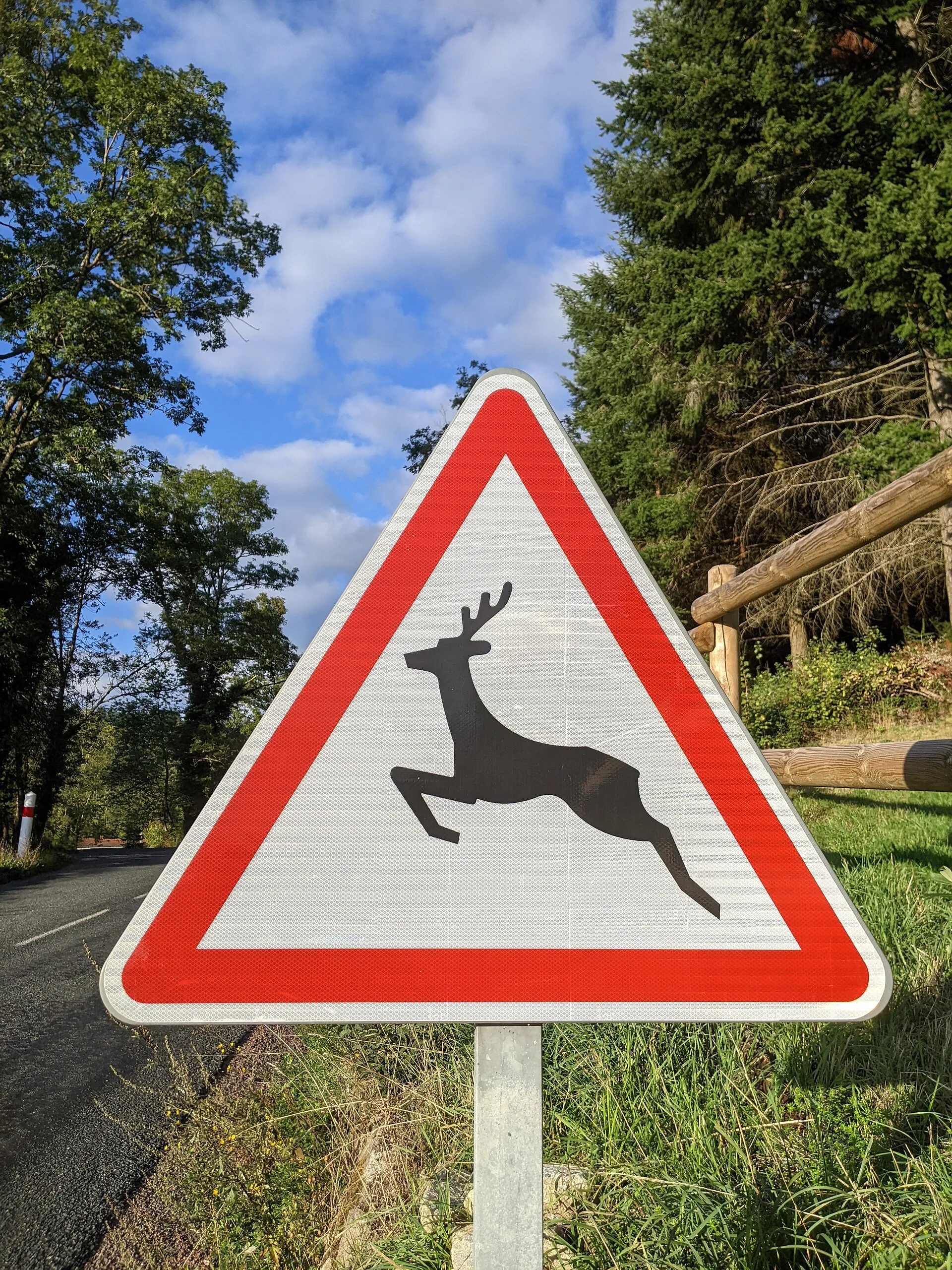 Panneau triangulaire de passage d’animaux sauvages, silhouette de cerf, au bord d’une route départementale boisée.