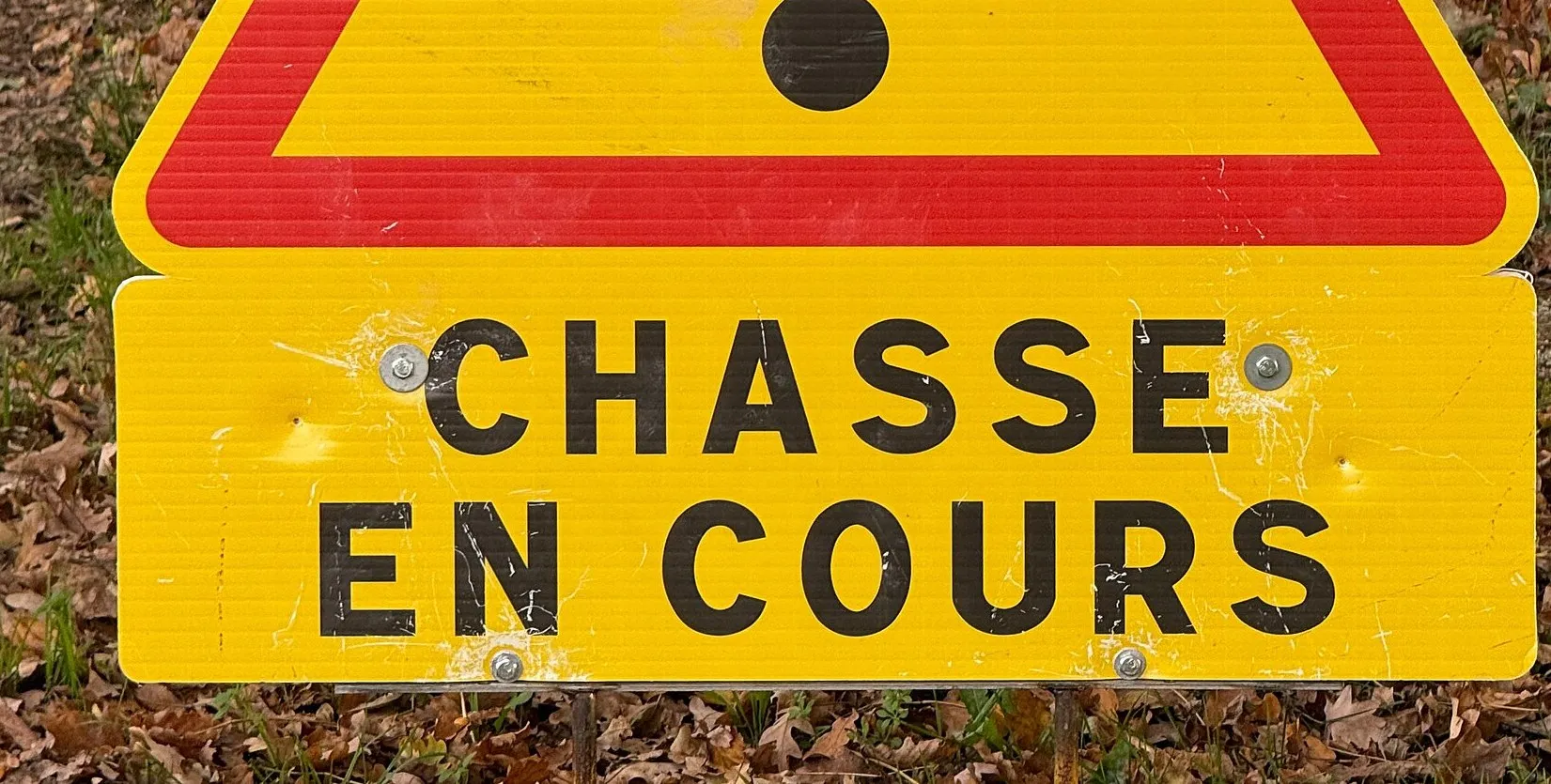 Panneau jaune et rouge « Chasse en cours » planté au bord d’un chemin couvert de feuilles mortes.