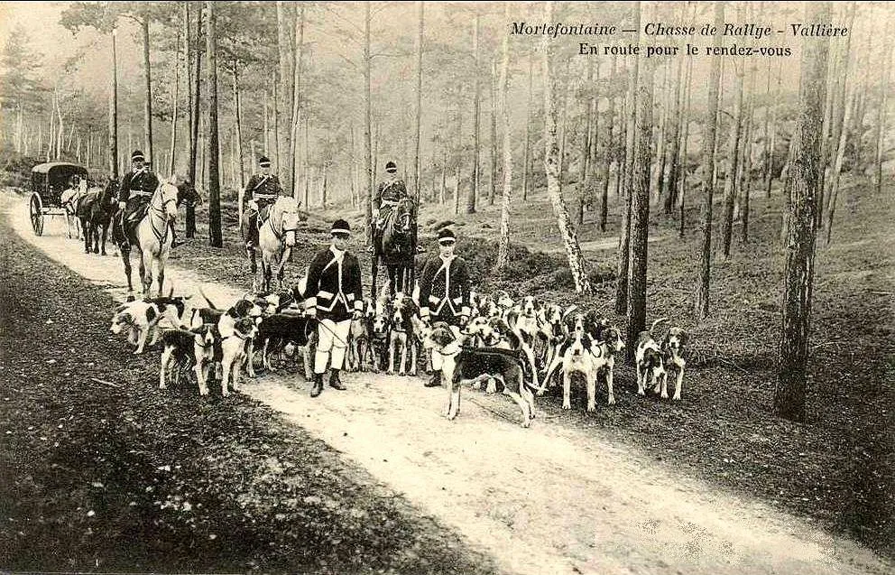 Chasseurs, cavaliers et meute de chiens courants sur une allée forestière, en route pour le rendez-vous de chasse, vers 1900.